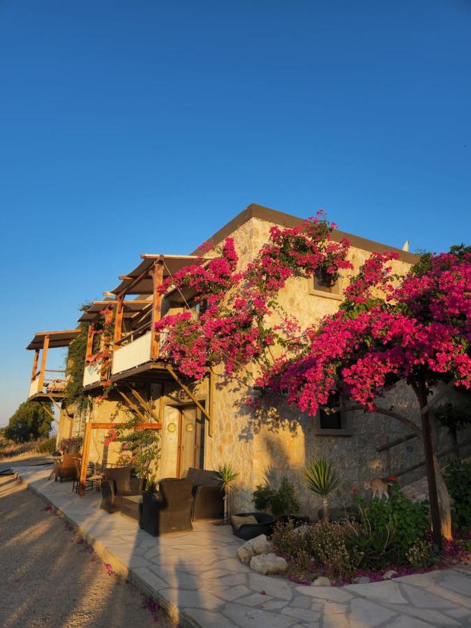 Eco Farm Boutique Hotel Тургутрейс Экстерьер фото