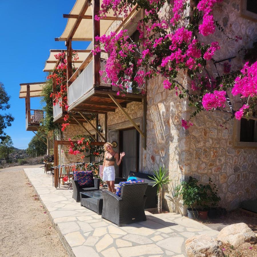 Eco Farm Boutique Hotel Тургутрейс Экстерьер фото